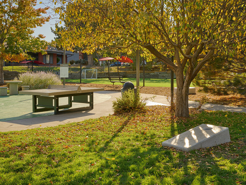 Cornhole | Solstice Apartments in Aurora, CO