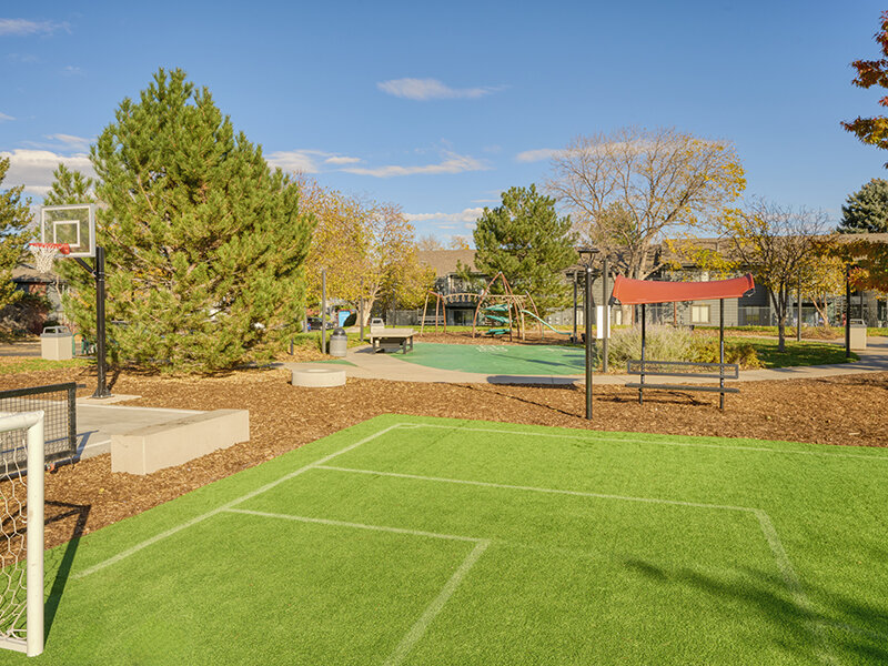 Sports Facilities | Solstice Apartments in Aurora, CO