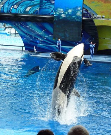 SeaWorld San Antonio