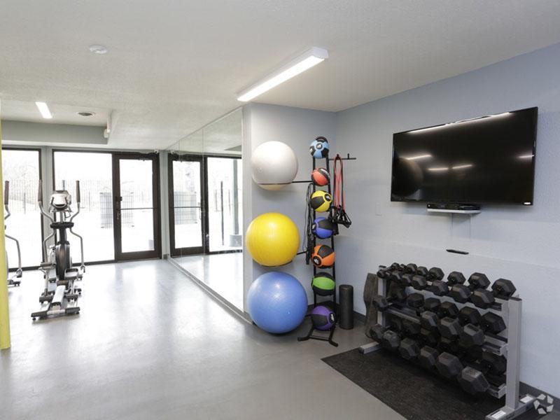 Fitness Center - Free Weights - Gym - Health