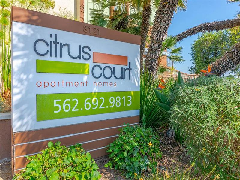 Apartment Sign | Citrus Court