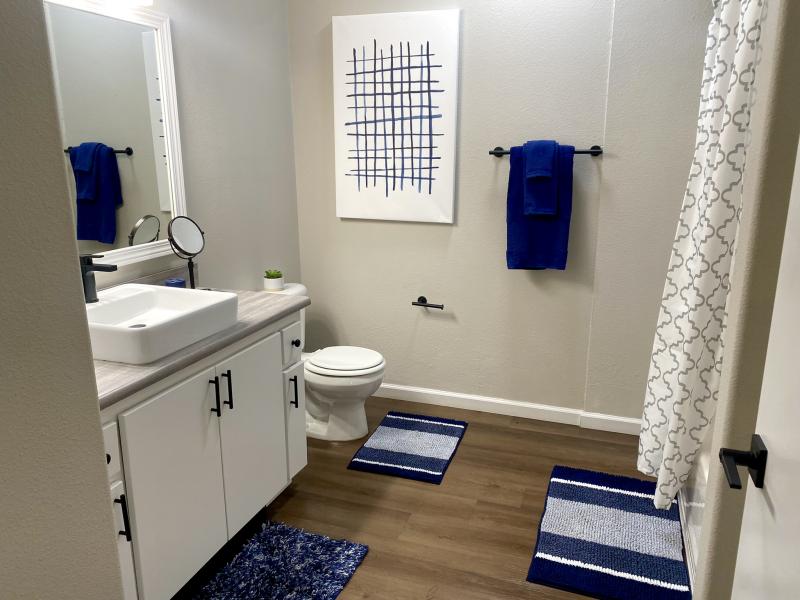 Bathroom | Luxe Apartments