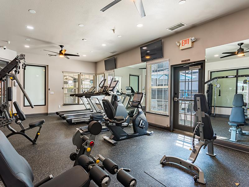 Fitness Area | Luxe