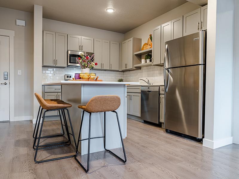 Stainless Steel Appliances | The Lofts at 5 Points