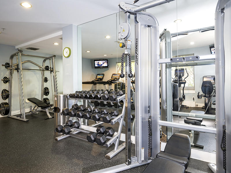 Studio City Apartments - The Thomas Apartments - Fully Equipped Gym, Padded Flooring, and Floor-to-Ceiling Mirrors