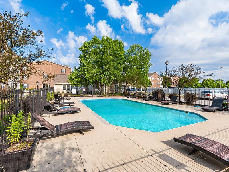 Swimming Pool | Enclave at Albany Park