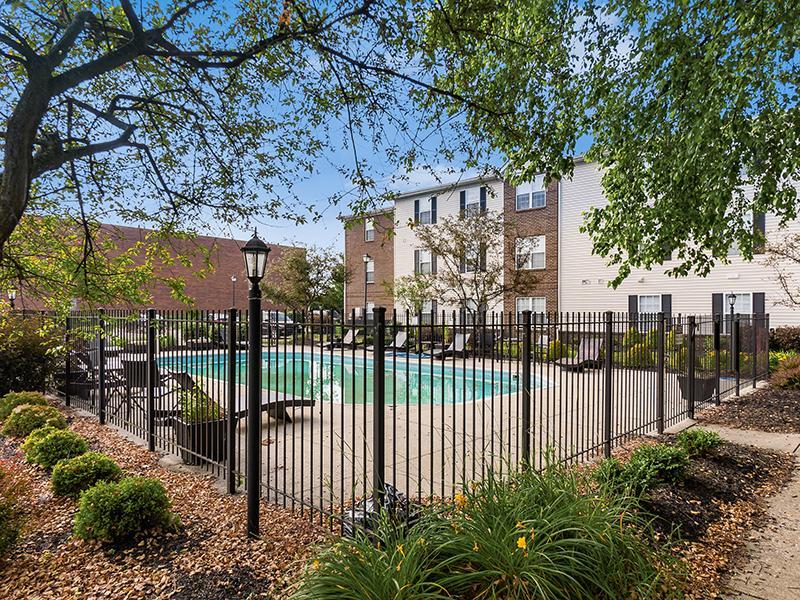 Pool | Enclave at Albany Park