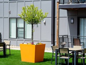 Beautifully Landscaped Grounds | 223 E Town Apartments