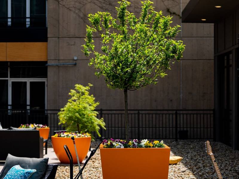 Professional Landscaping | 223 E Town Apartments