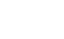 Bryn Mawr Belle Shore logo