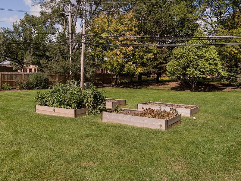 Community Gardens | Centennial North Apartments in Mount Prospect, IL