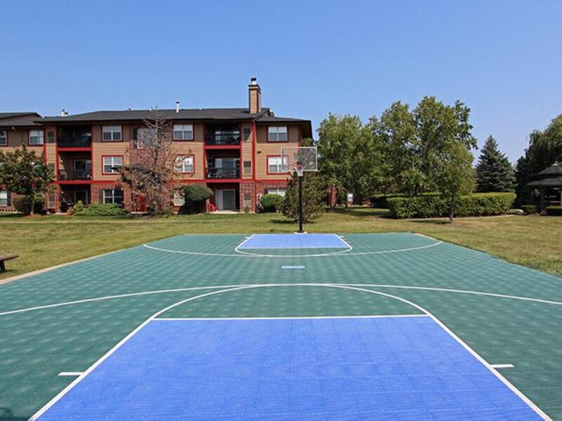 Basketball Court