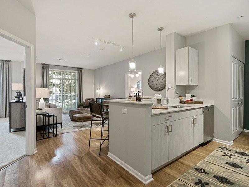 Kitchen and Living Room | The Reserve Apartments in Evanston, IL