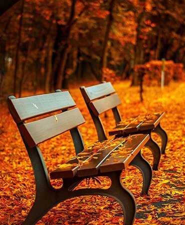 Nearby Parks