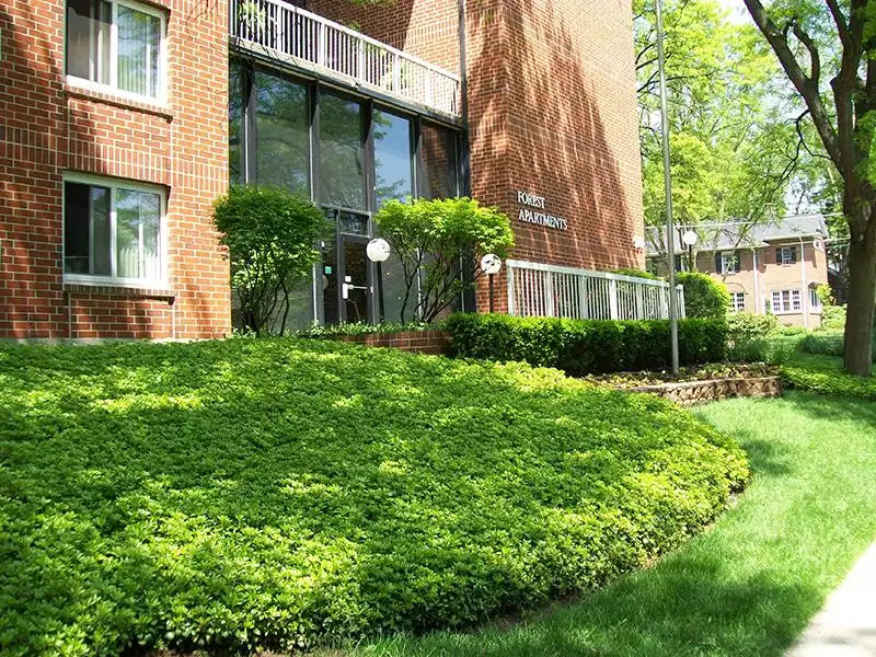 Beautiful Landscaping | Forest Apartments