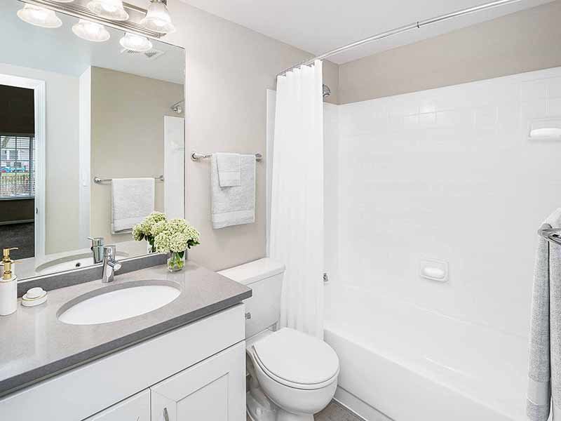 Luxury Bathroom | Arbors of Brookdale