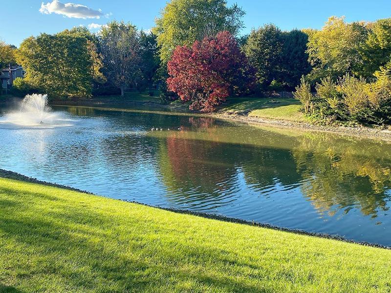 Pond View | The Arbors at Brookdale Apts in Naperville, IL