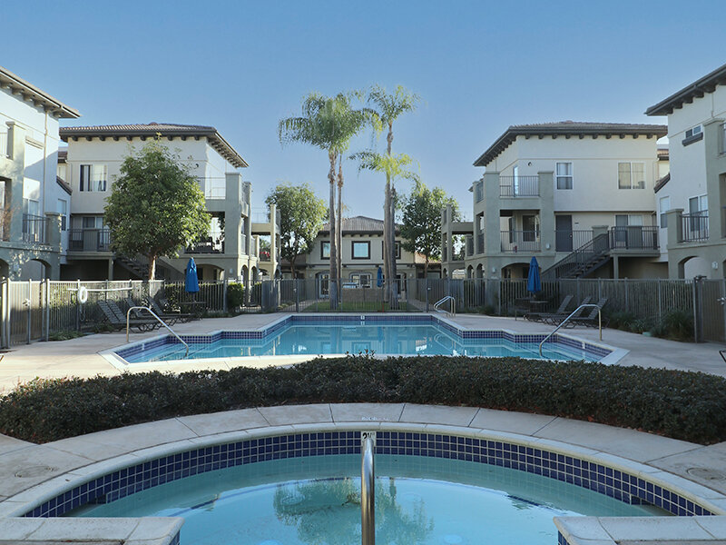 Luxury Pool | Courtyard