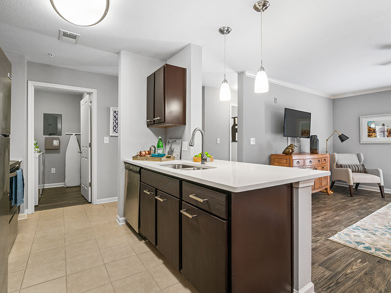 Model Kitchen | Latitude at Wescott Apartments for Rent in Summerville