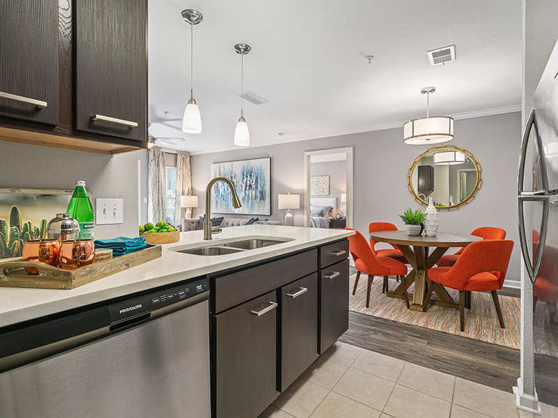 Model Fully Equipped Kitchen | Latitude at Wescott Summerville Apartments