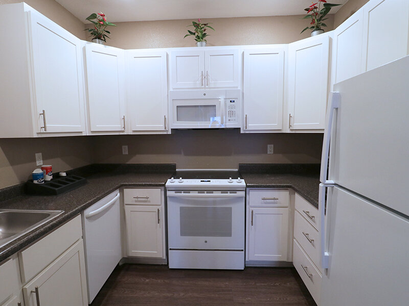 Interior Kitchen | Seasons Senior