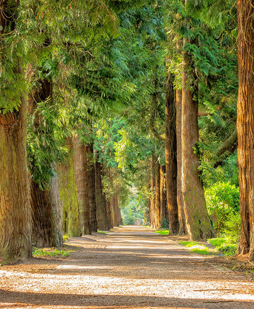 Riverview Park