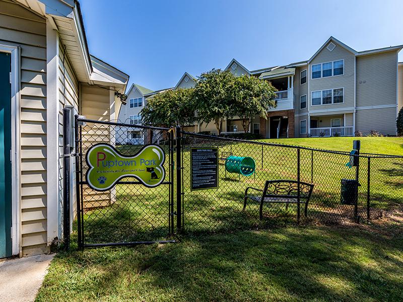 Bark Park | Willowbrook Apartments in Greenville, SC