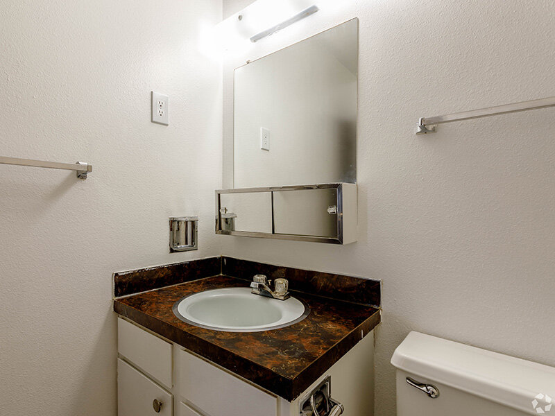 Bathroom Sink | Alpine Meadows