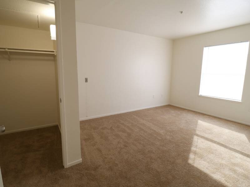 Abundant Natural Lighting | Harmony Creek Apartments