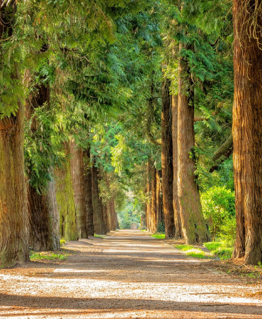 Stuff to Do in Colorado Springs, CO