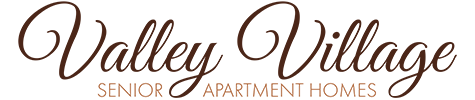 Valley Village Logo