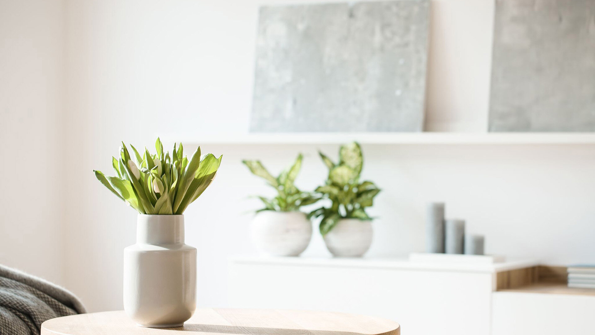 Spring Creek Apartments Amenities