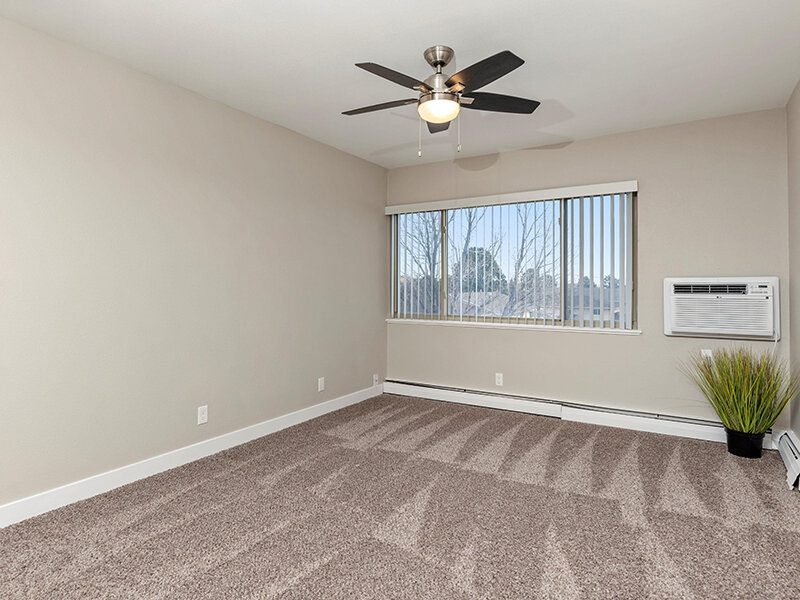 Large Window | Chestnut Hills