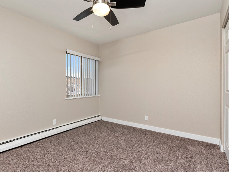 Large Room | Chestnut Hills