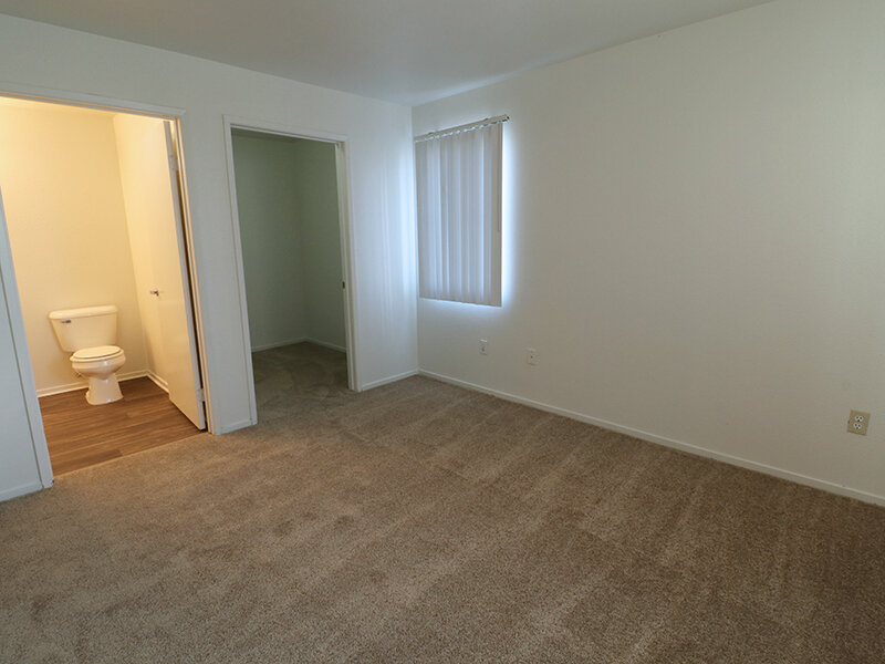 Luxury Room | Sycamore Walk