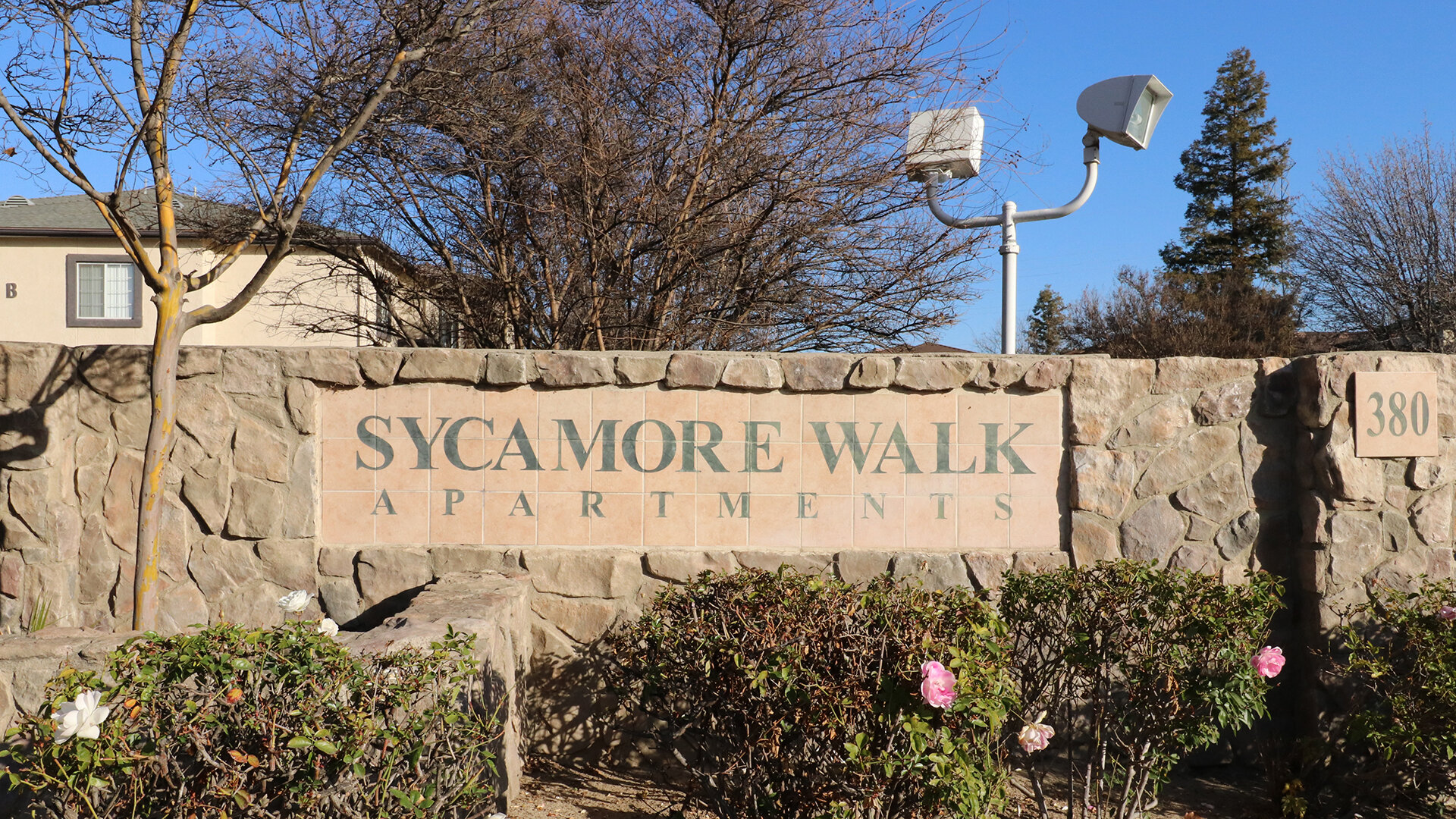 Sycamore Walk Apartments Amenities