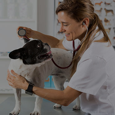 NEARBY VETERINARY HOSPITALS