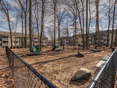 Dog Park | Ellicott Grove