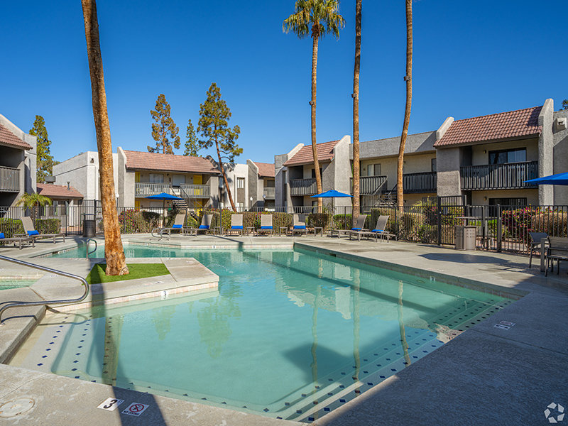 Large Pool | Willowcreek