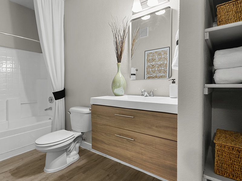 Bathroom and Linen Closet | The Residences at Palm Valley