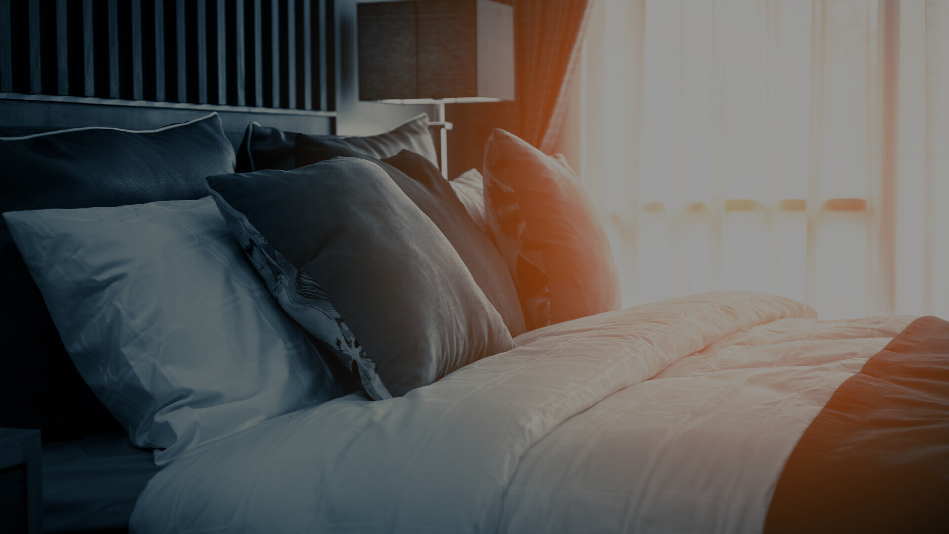 Sunny View Apartments Amenities