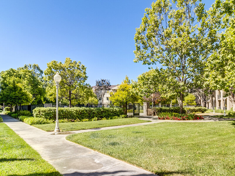 Senior Apartments with a Pool | Bay View Vista Senior Living Apartments