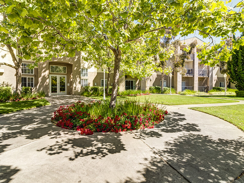 Flower Bed | Bay View Vista Senior Living Apartments