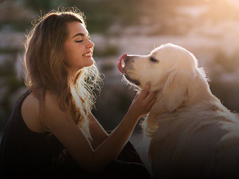 Review the Pet Policies for Las Palmas II Apartments