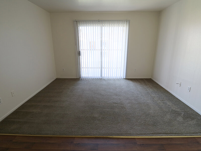 Large Room | El Jardin