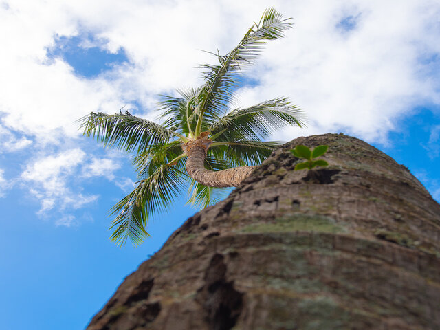 Apartments in Lahaina, HI | Sunset Terrace