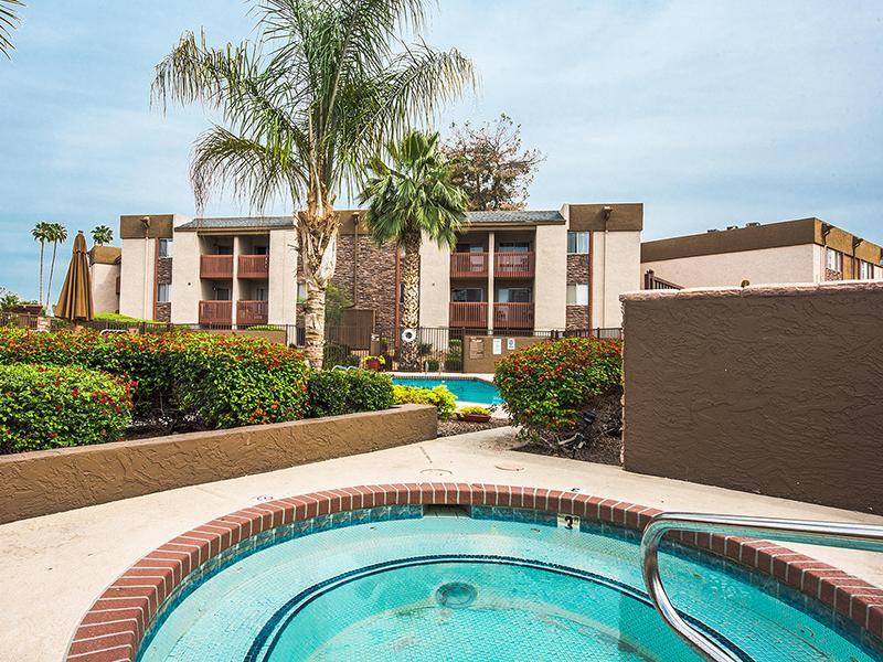 Swimming Pool | Mesa Apartments