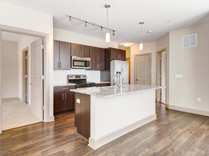 Luxury Kitchen | Aston Place