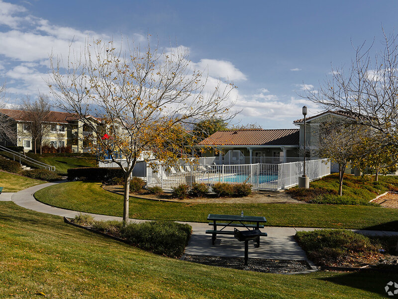 Picnic Table and Pool | Summit Ridge