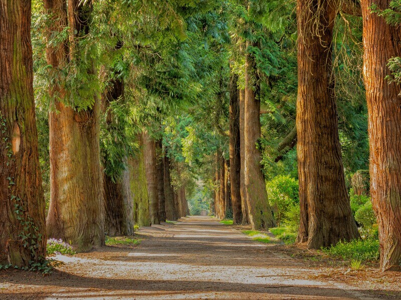 Stuff to Do in Perris, CA